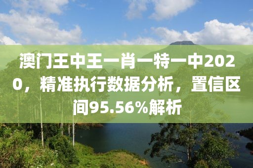 澳門王中王一肖一特一中2020，精準執行數據分析，置信區間95.56%解析