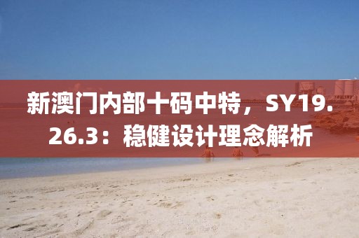 新澳門內部十碼中特，SY19.26.3：穩健設計理念解析