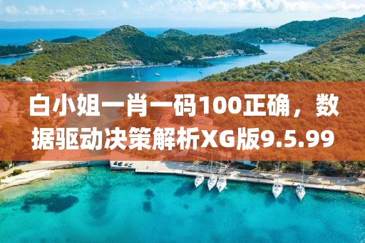 白小姐一肖一碼100正確，數據驅動決策解析XG版9.5.99