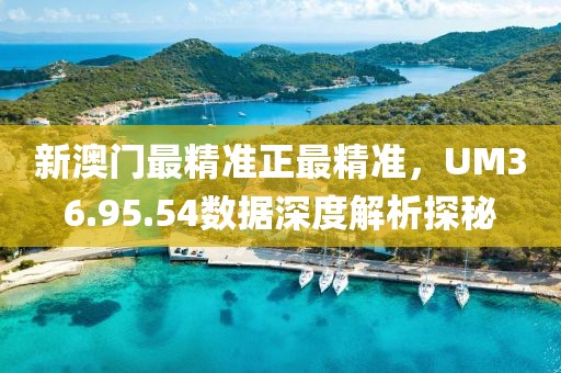 新澳門最精準正最精準，UM36.95.54數據深度解析探秘