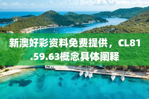 新澳好彩資料免費提供，CL81.59.63概念具體闡釋