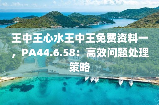 王中王心水王中王免費資料一，PA44.6.58：高效問題處理策略