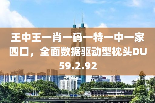 王中王一肖一碼一特一中一家四口，全面數據驅動型枕頭DU59.2.92