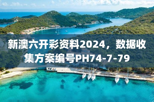 新澳六開彩資料2024，數據收集方案編號PH74-7-79