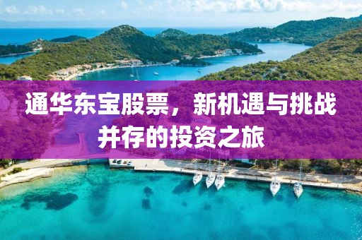 通華東寶股票，新機遇與挑戰并存的投資之旅