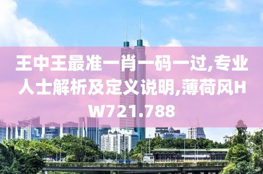 王中王最準一肖一碼一過,專業人士解析及定義說明,薄荷風HW721.788