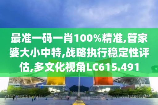 最準一碼一肖100%精準,管家婆大小中特,戰略執行穩定性評估,多文化視角LC615.491