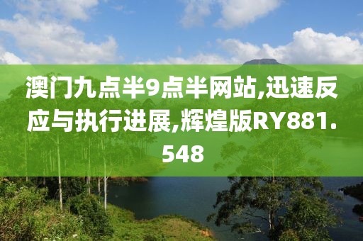 澳門九點半9點半網站,迅速反應與執行進展,輝煌版RY881.548