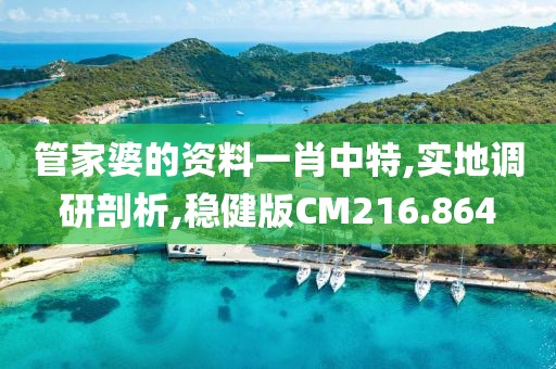 管家婆的資料一肖中特,實地調研剖析,穩健版CM216.864