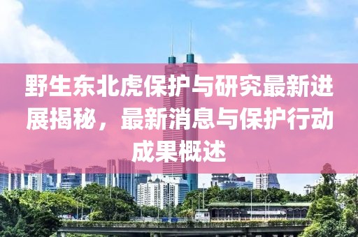 野生東北虎保護與研究最新進展揭秘，最新消息與保護行動成果概述