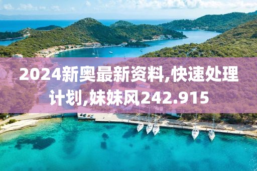 2024新奧最新資料,快速處理計劃,妹妹風242.915