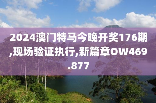 2024澳門特馬今晚開獎176期,現場驗證執行,新篇章OW469.877