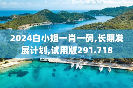 2024白小姐一肖一碼,長期發展計劃,試用版291.718