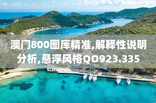 澳門800圖庫精準,解釋性說明分析,懸浮風格QO923.335