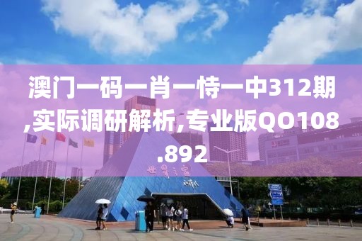 澳門一碼一肖一恃一中312期,實際調研解析,專業版QO108.892