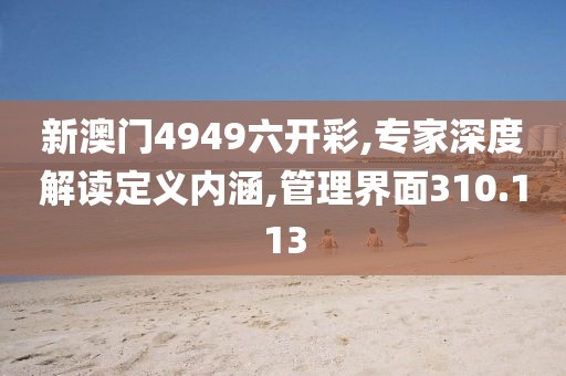 新澳門4949六開彩,專家深度解讀定義內涵,管理界面310.113