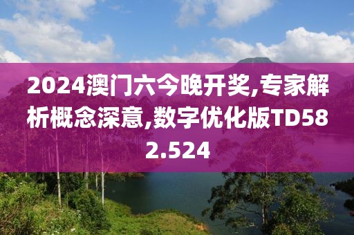 2024澳門六今晚開獎,專家解析概念深意,數字優化版TD582.524