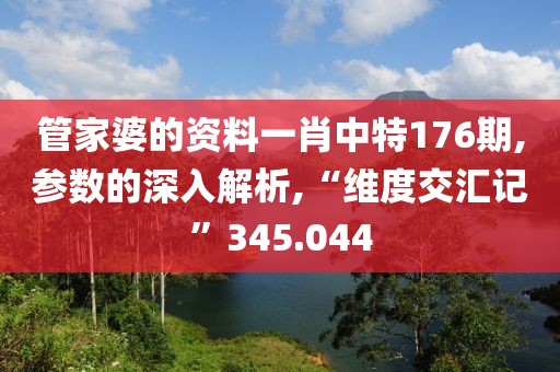 管家婆的資料一肖中特176期,參數的深入解析,“維度交匯記”345.044