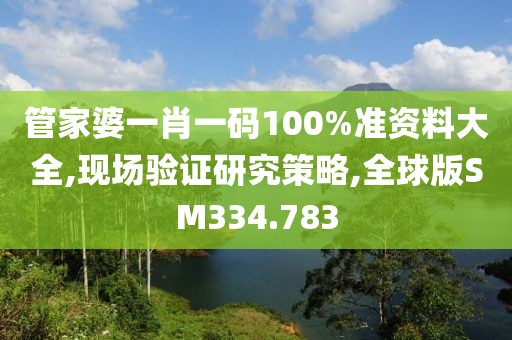 管家婆一肖一碼100%準資料大全,現場驗證研究策略,全球版SM334.783