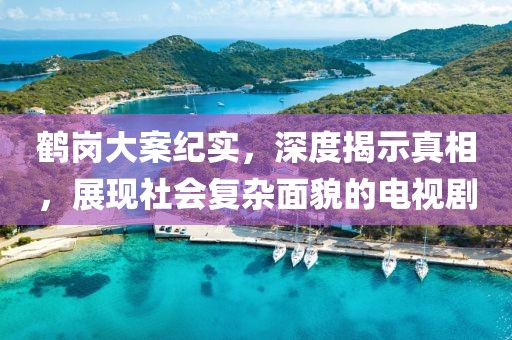 鶴崗大案紀實，深度揭示真相，展現社會復雜面貌的電視劇