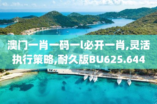 澳門一肖一碼一l必開一肖,靈活執行策略,耐久版BU625.644