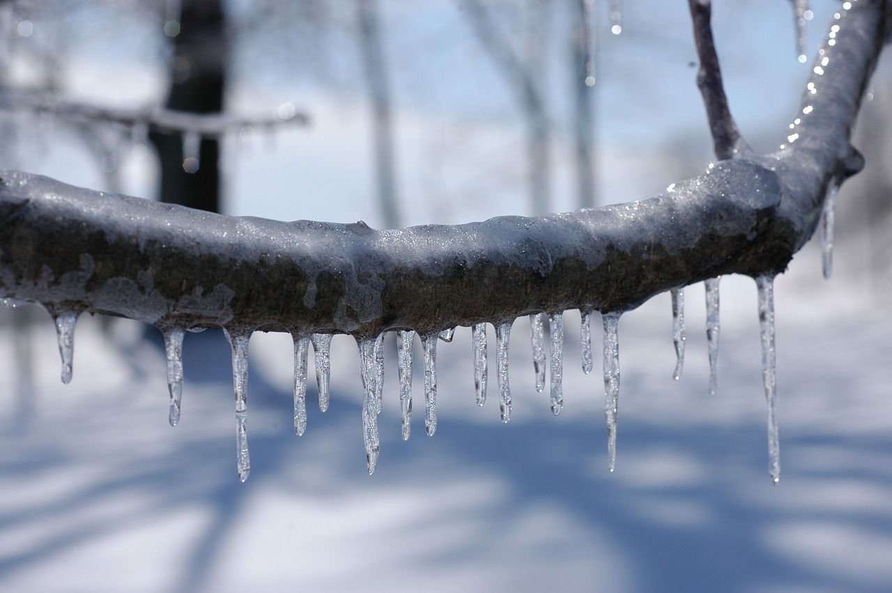 最新暴雪預警發布，風雪天氣應對策略與準備