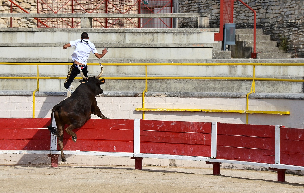 奧運馬術比賽，馬術運動的巔峰競技盛宴