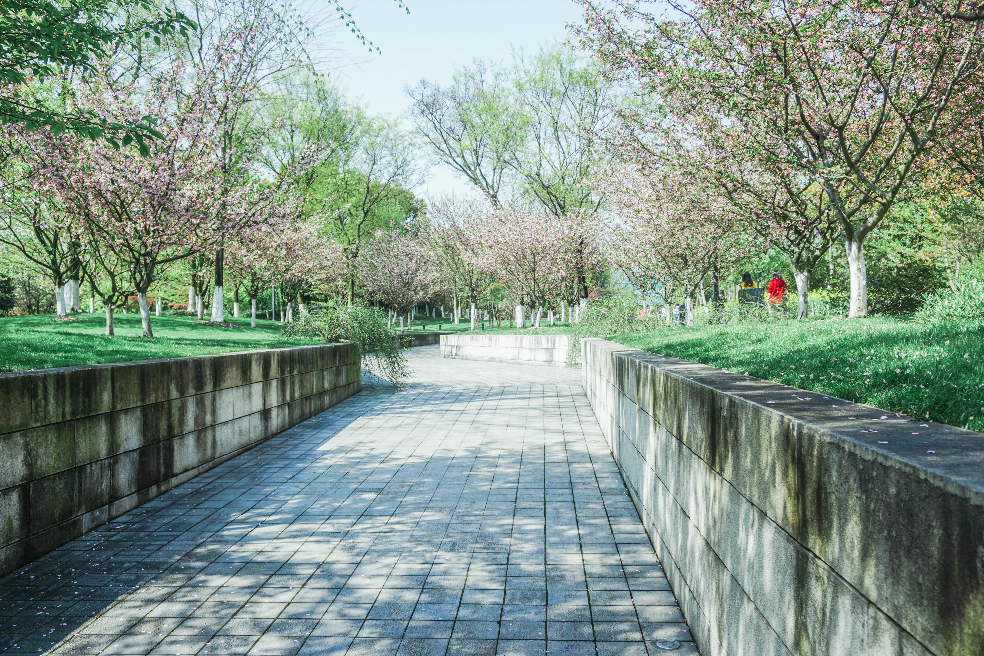 南京上市環保，綠色發展的典范之路