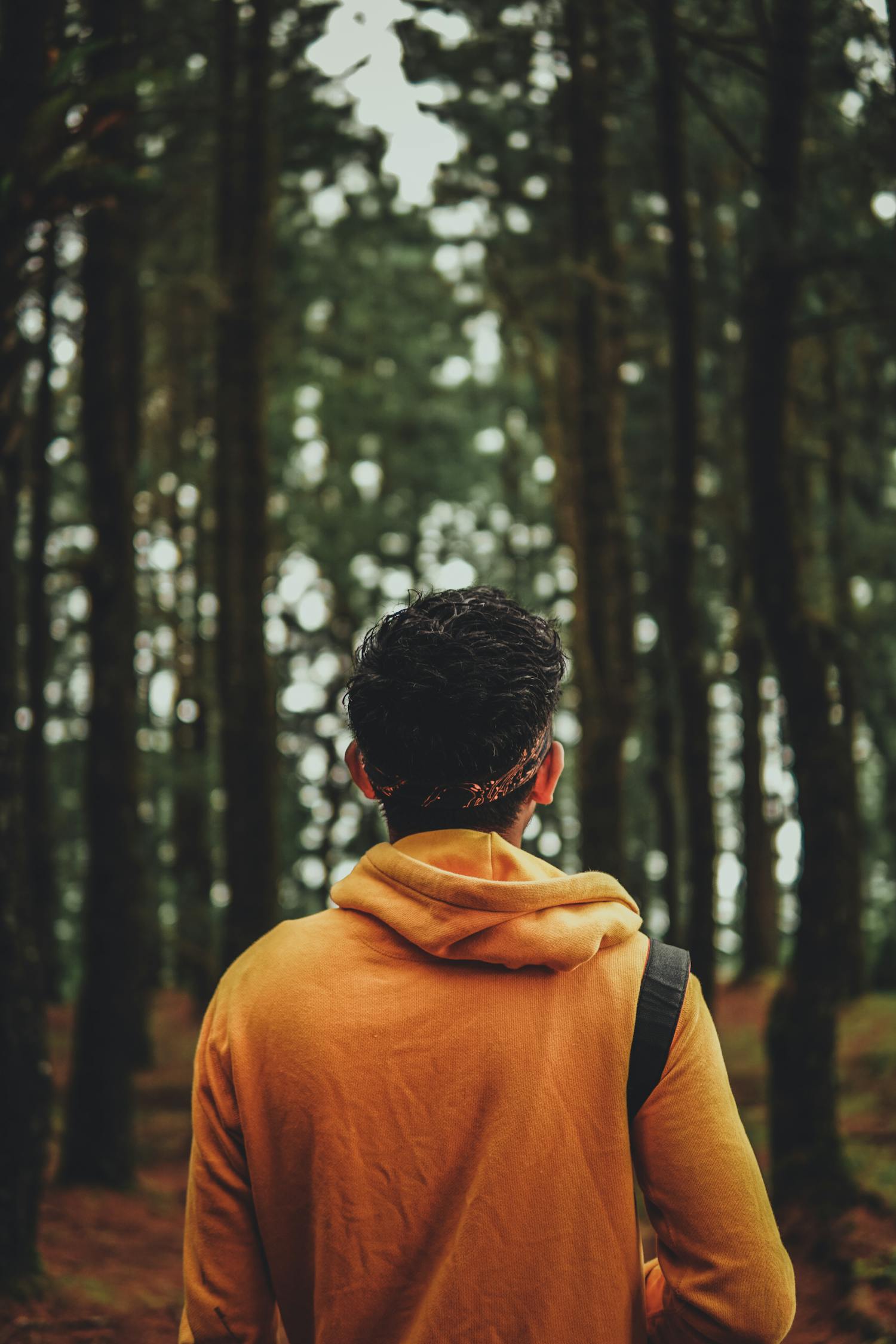 最新男同視頻，探索與理解的視角