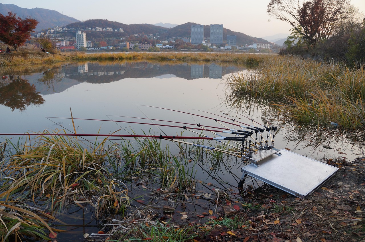 革新釣魚體驗，最新釣魚設備助你提升釣魚樂趣